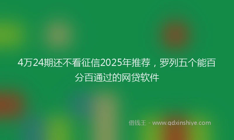 4万24期还不看征信2025年推荐，罗列五个能百分百通过的网贷软件