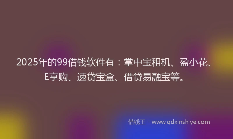 2025年的99借钱软件有：掌中宝租机、盈小花、E享购、速贷宝盒、借贷易融宝等。