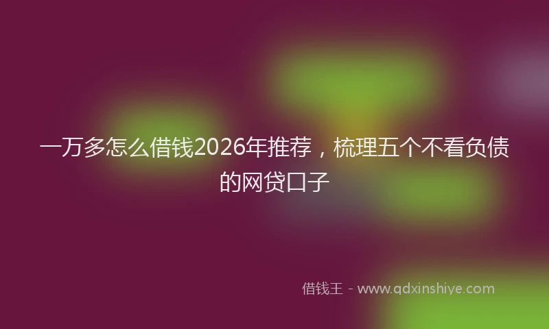 一万多怎么借钱2026年推荐，梳理五个不看负债的网贷口子