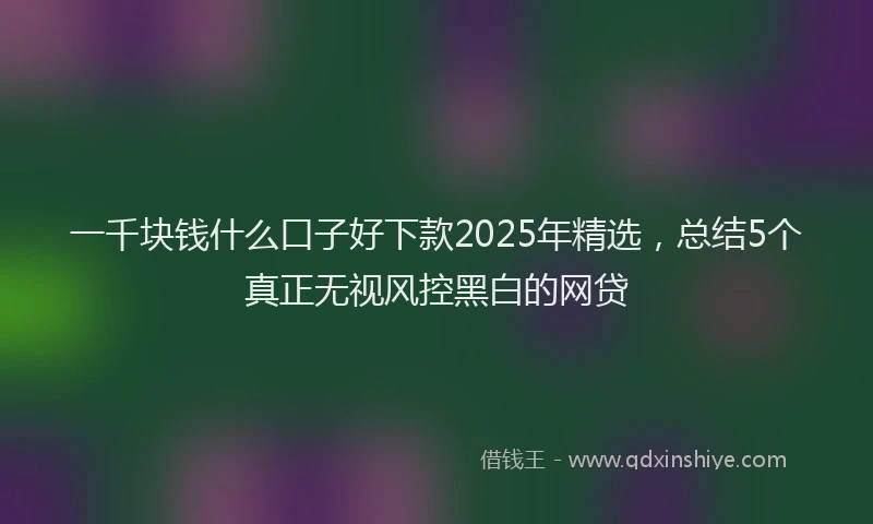 一千块钱什么口子好下款2025年精选，总结5个真正无视风控黑白的网贷