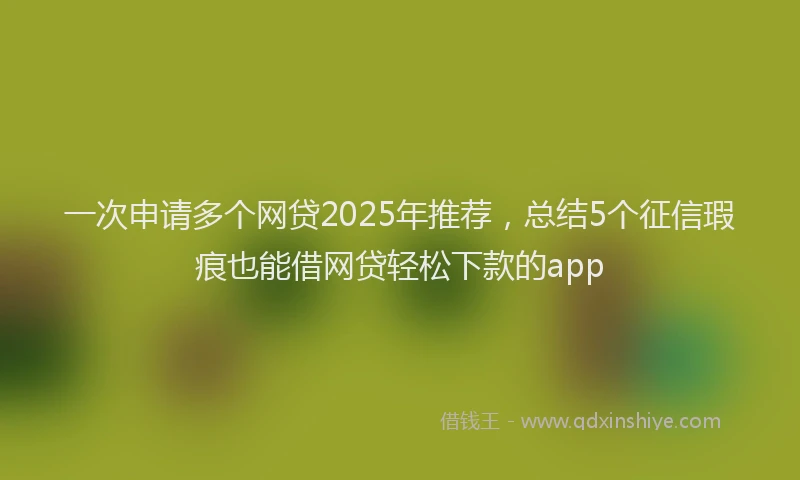 一次申请多个网贷2025年推荐，总结5个征信瑕疵也能借网贷轻松下款的app