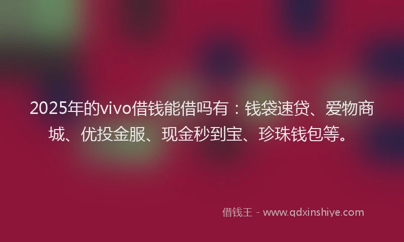 2025年的vivo借钱能借吗有：钱袋速贷、爱物商城、优投金服、现金秒到宝、珍珠钱包等。
