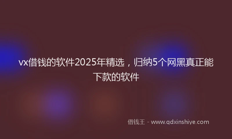 vx借钱的软件2025年精选，归纳5个网黑真正能下款的软件
