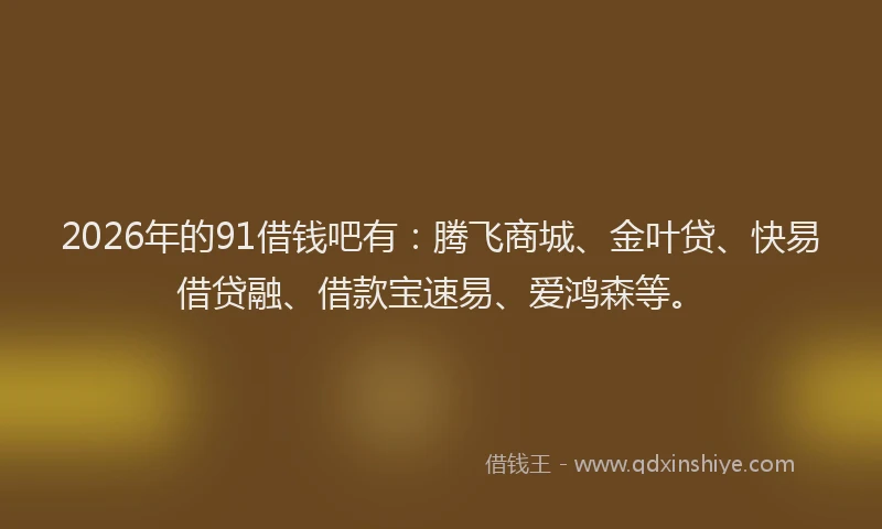 2026年的91借钱吧有：腾飞商城、金叶贷、快易借贷融、借款宝速易、爱鸿森等。