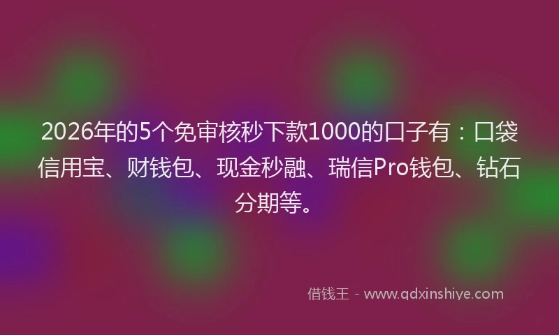 2026年的5个免审核秒下款1000的口子有：口袋信用宝、财钱包、现金秒融、瑞信Pro钱包、钻石分期等。