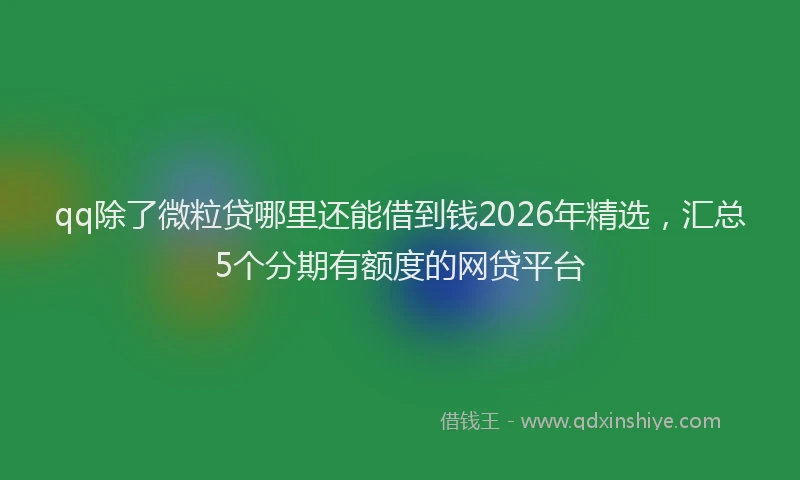 qq除了微粒贷哪里还能借到钱2026年精选,汇总5个分期有额度的网贷平台