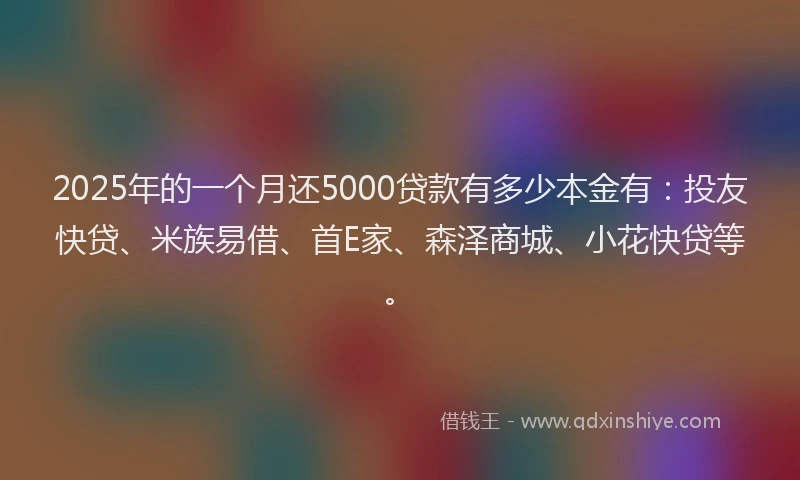 2025年的一个月还5000贷款有多少本金有：投友快贷、米族易借、首E家、森泽商城、小花快贷等。