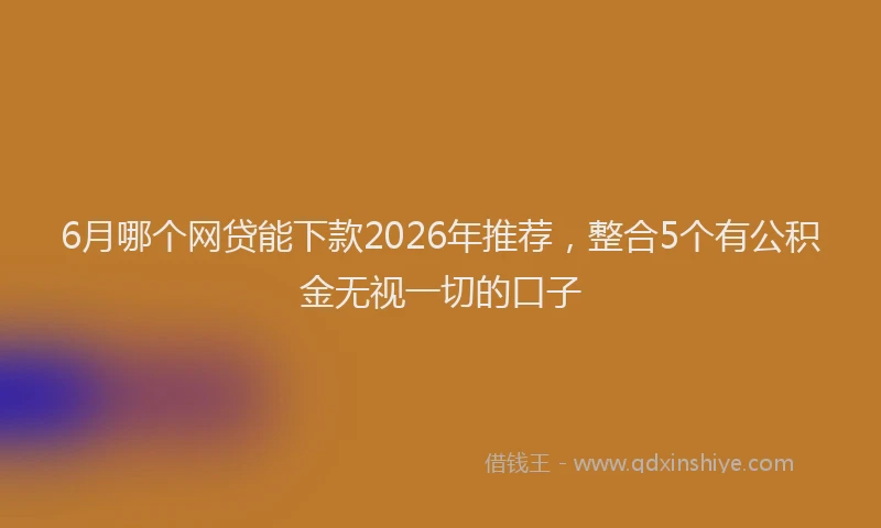 6月哪个网贷能下款2026年推荐，整合5个有公积金无视一切的口子