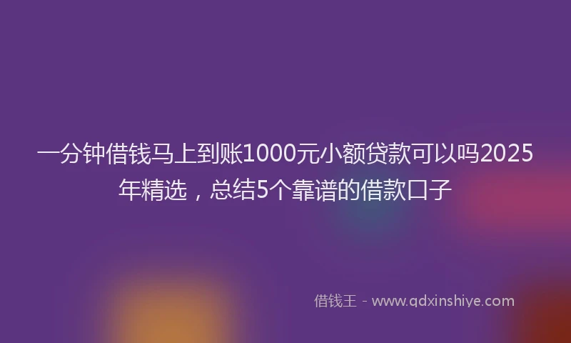 一分钟借钱马上到账1000元小额贷款可以吗2025年精选，总结5个靠谱的借款口子