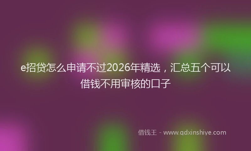 e招贷怎么申请不过2026年精选，汇总五个可以借钱不用审核的口子