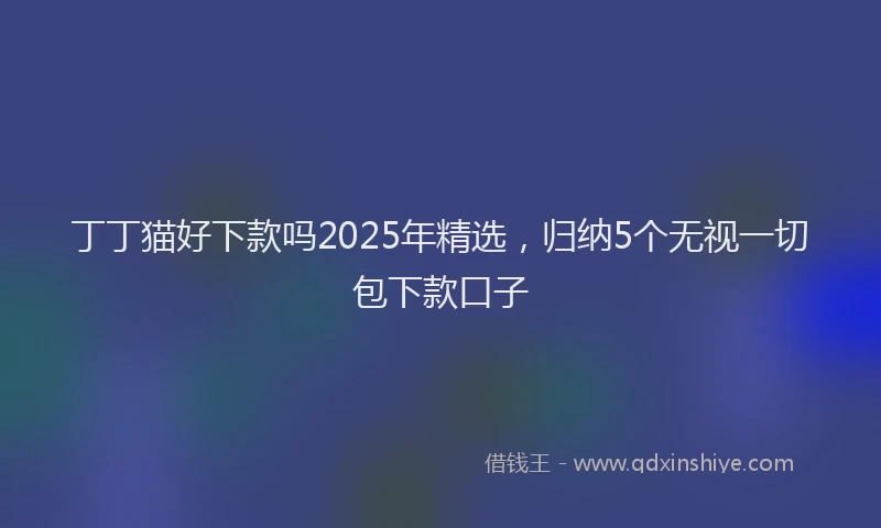丁丁猫好下款吗2025年精选，归纳5个无视一切包下款口子