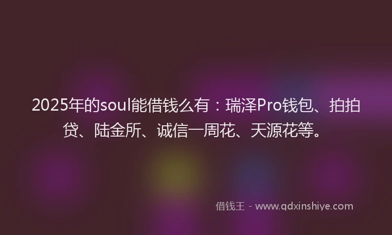 2025年的soul能借钱么有：瑞泽Pro钱包、拍拍贷、陆金所、诚信一周花、天源花等。