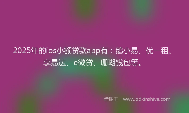 2025年的ios小额贷款app有：鹅小易、优一租、享易达、e微贷、珊瑚钱包等。