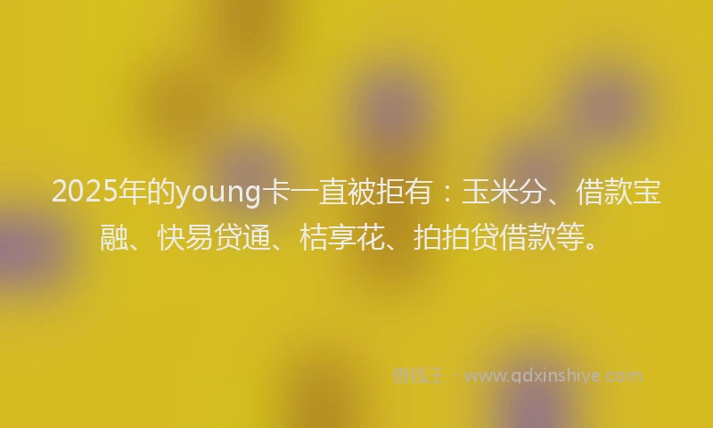 2025年的young卡一直被拒有：玉米分、借款宝融、快易贷通、桔享花、拍拍贷借款等。