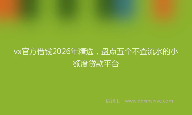 vx官方借钱2026年精选，盘点五个不查流水的小额度贷款平台