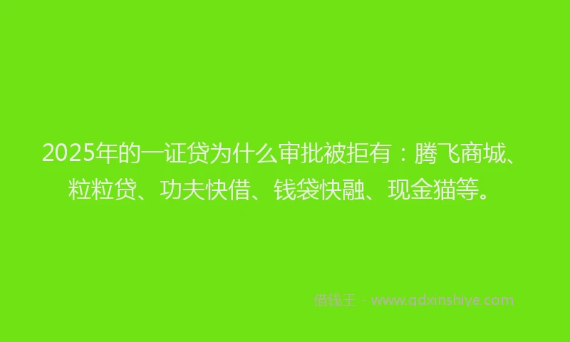 2025年的一证贷为什么审批被拒有：腾飞商城、粒粒贷、功夫快借、钱袋快融、现金猫等。