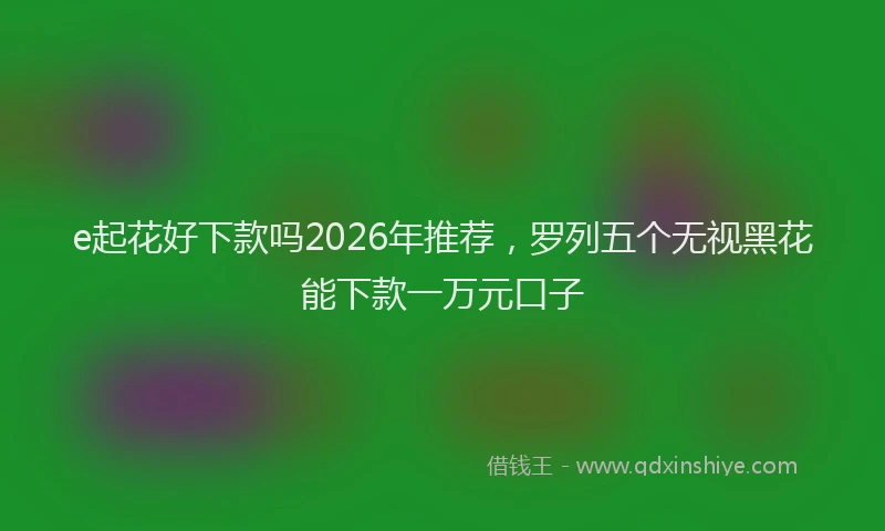 e起花好下款吗2026年推荐，罗列五个无视黑花能下款一万元口子
