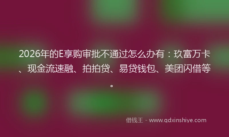 2026年的E享购审批不通过怎么办有：玖富万卡、现金流速融、拍拍贷、易贷钱包、美团闪借等。