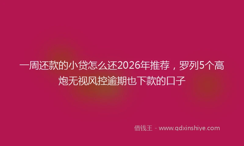 一周还款的小贷怎么还2026年推荐，罗列5个高炮无视风控逾期也下款的口子