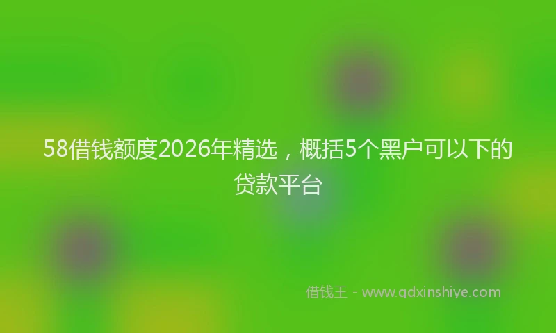 58借钱额度2026年精选，概括5个黑户可以下的贷款平台