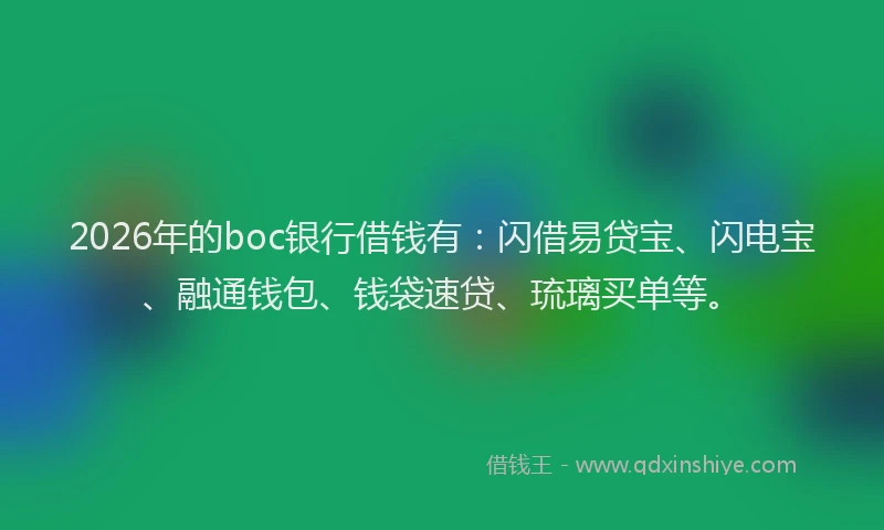 2026年的boc银行借钱有：闪借易贷宝、闪电宝、融通钱包、钱袋速贷、琉璃买单等。