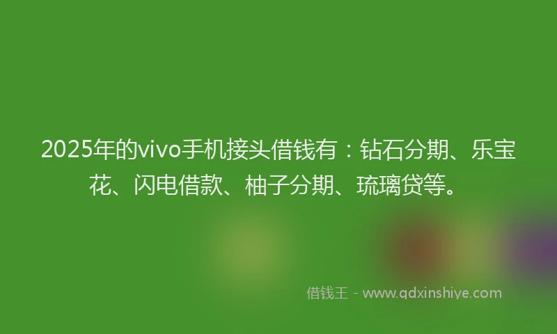 2025年的vivo手机接头借钱有：钻石分期、乐宝花、闪电借款、柚子分期、琉璃贷等。