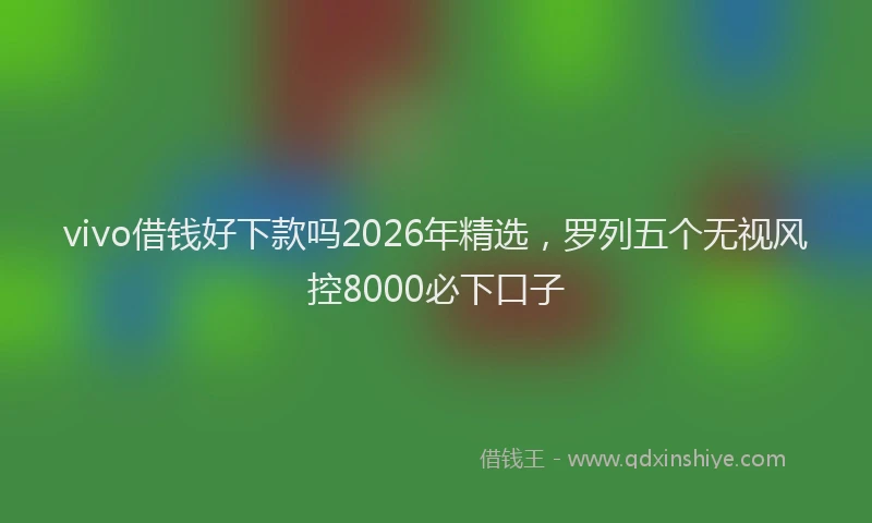 vivo借钱好下款吗2026年精选，罗列五个无视风控8000必下口子
