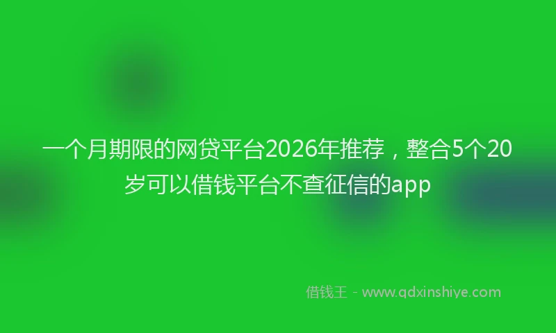 一个月期限的网贷平台2026年推荐，整合5个20岁可以借钱平台不查征信的app