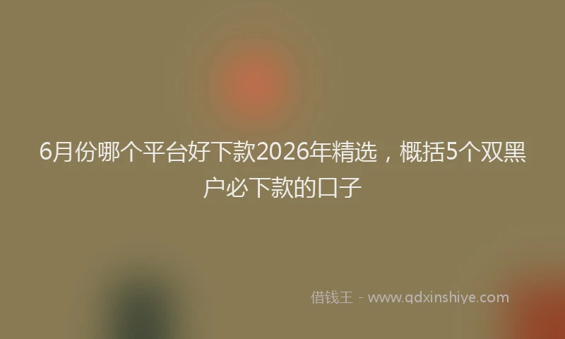 6月份哪个平台好下款2026年精选，概括5个双黑户必下款的口子
