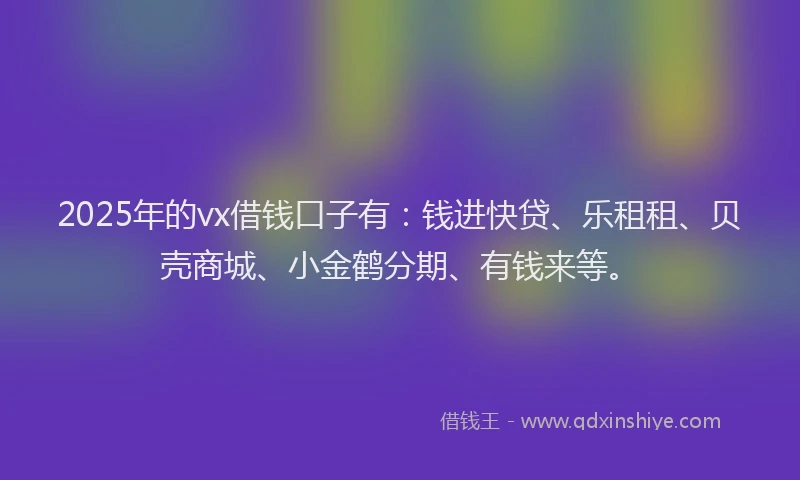 2025年的vx借钱口子有：钱进快贷、乐租租、贝壳商城、小金鹤分期、有钱来等。