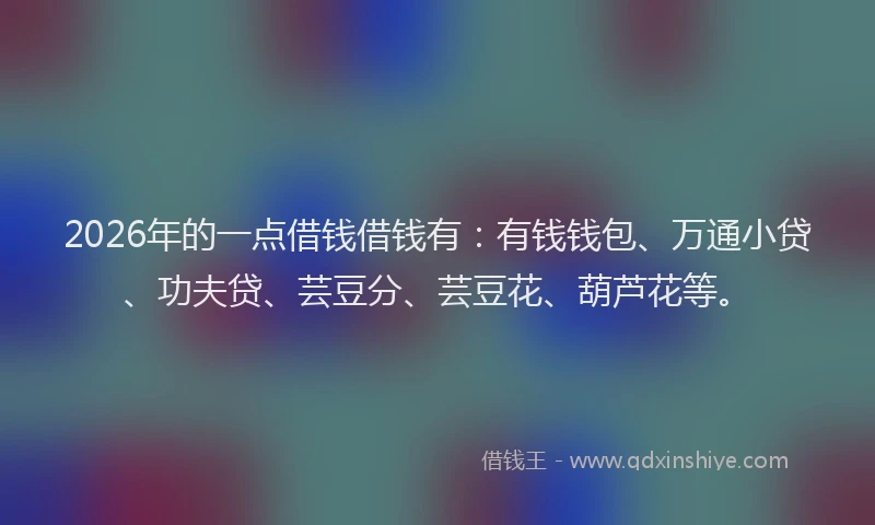 2026年的一点借钱借钱有:有钱钱包、万通小贷、功夫贷、芸豆分、芸豆花、葫芦花等。