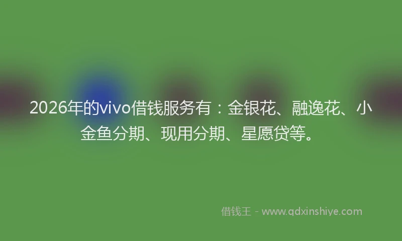 2026年的vivo借钱服务有：金银花、融逸花、小金鱼分期、现用分期、星愿贷等。