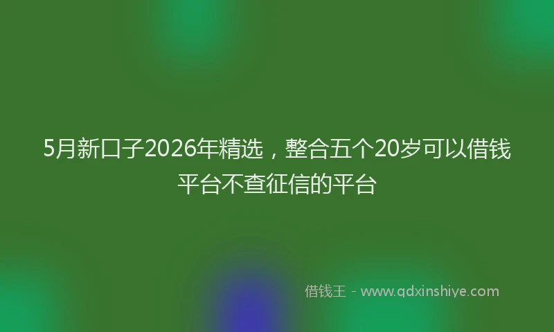 5月新口子2026年精选，整合五个20岁可以借钱平台不查征信的平台