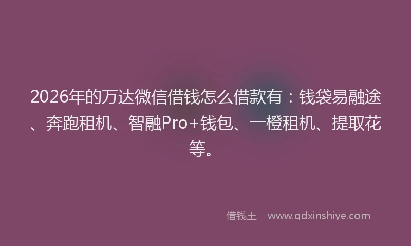 2026年的万达微信借钱怎么借款有：钱袋易融途、奔跑租机、智融Pro+钱包、一橙租机、提取花等。