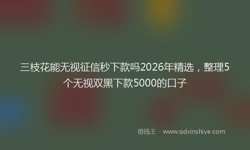 三枝花能无视征信秒下款吗2026年精选,整理5个无视双黑下款5000的口子