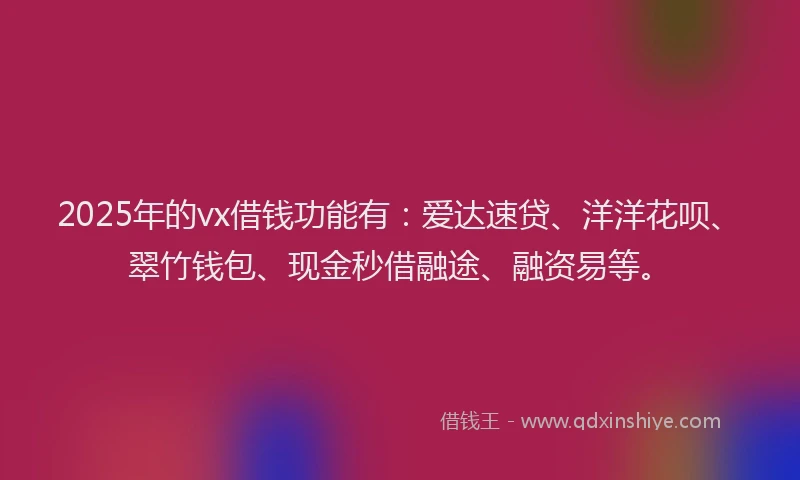2025年的vx借钱功能有：爱达速贷、洋洋花呗、翠竹钱包、现金秒借融途、融资易等。