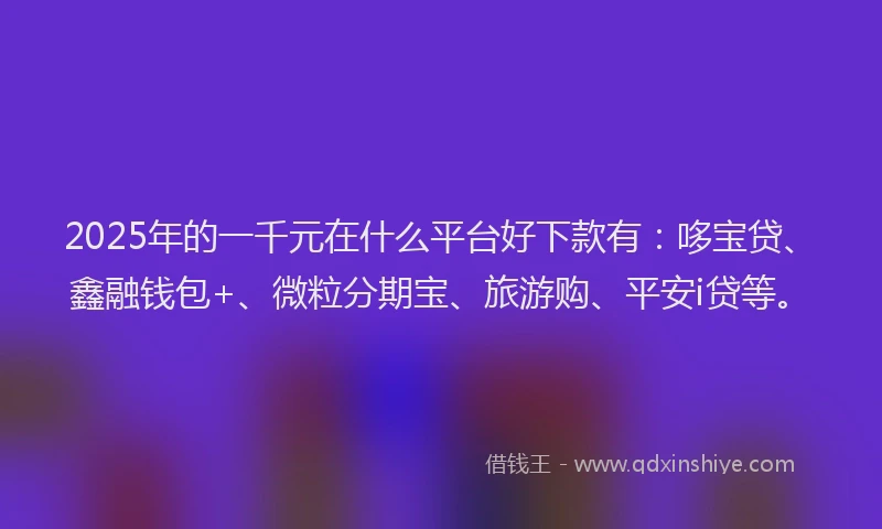 2025年的一千元在什么平台好下款有：哆宝贷、鑫融钱包+、微粒分期宝、旅游购、平安i贷等。