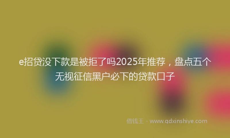 e招贷没下款是被拒了吗2025年推荐，盘点五个无视征信黑户必下的贷款口子