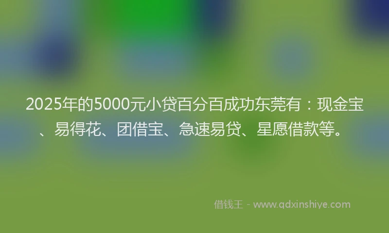 2025年的5000元小贷百分百成功东莞有:现金宝、易得花、团借宝、急速易贷、星愿借款等。