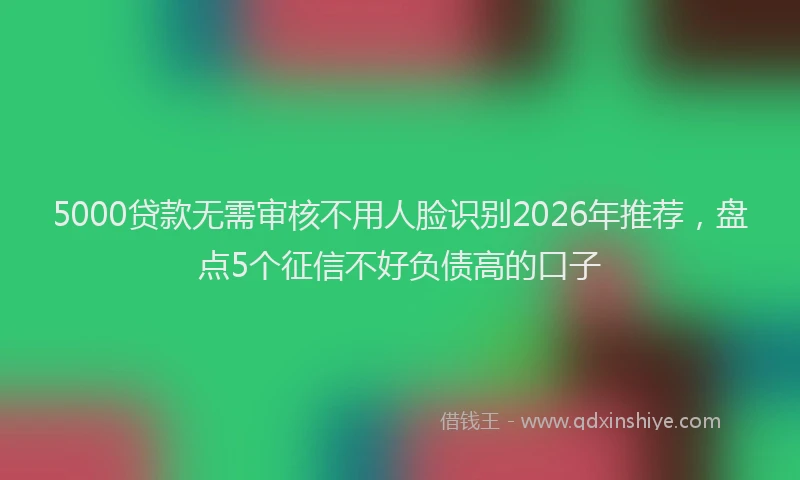 5000贷款无需审核不用人脸识别2026年推荐，盘点5个征信不好负债高的口子