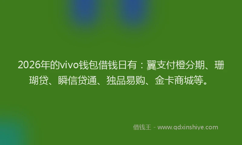 2026年的vivo钱包借钱日有：翼支付橙分期、珊瑚贷、瞬信贷通、独品易购、金卡商城等。