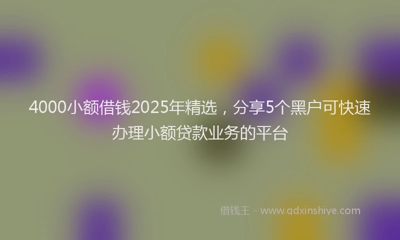 4000小额借钱2025年精选，分享5个黑户可快速办理小额贷款业务的平台