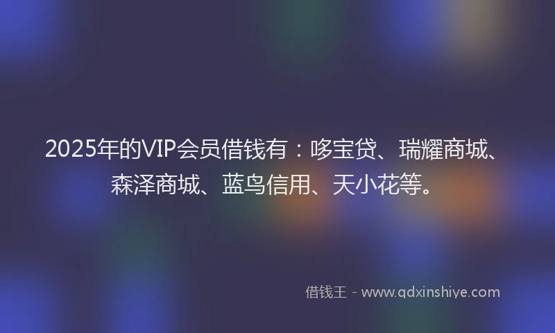 2025年的VIP会员借钱有：哆宝贷、瑞耀商城、森泽商城、蓝鸟信用、天小花等。