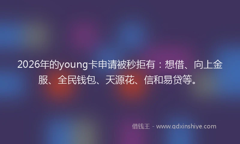 2026年的young卡申请被秒拒有:想借、向上金服、全民钱包、天源花、信和易贷等。