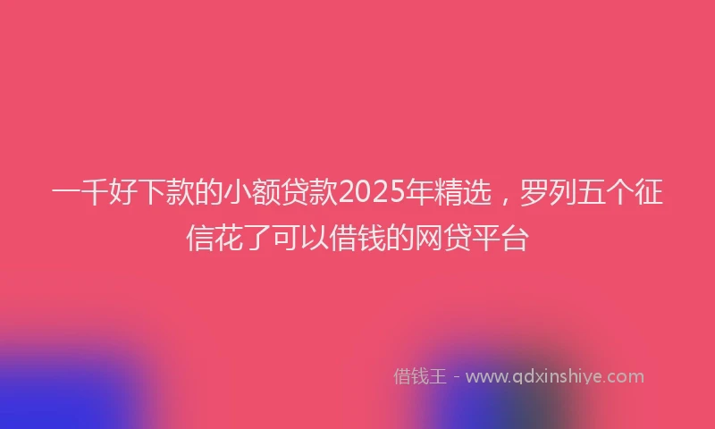 一千好下款的小额贷款2025年精选,罗列五个征信花了可以借钱的网贷平台
