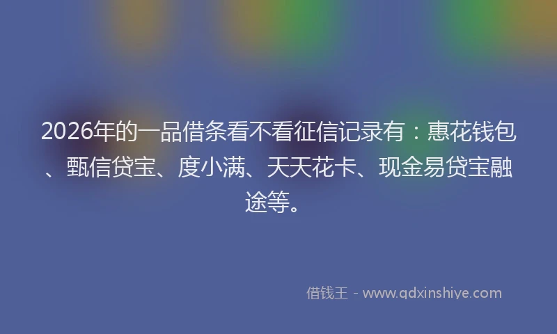 2026年的一品借条看不看征信记录有：惠花钱包、甄信贷宝、度小满、天天花卡、现金易贷宝融途等。