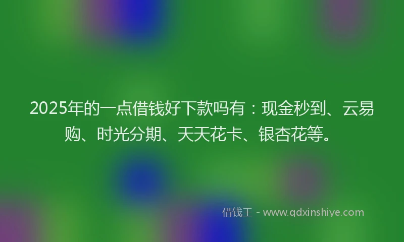 2025年的一点借钱好下款吗有:现金秒到、云易购、时光分期、天天花卡、银杏花等。