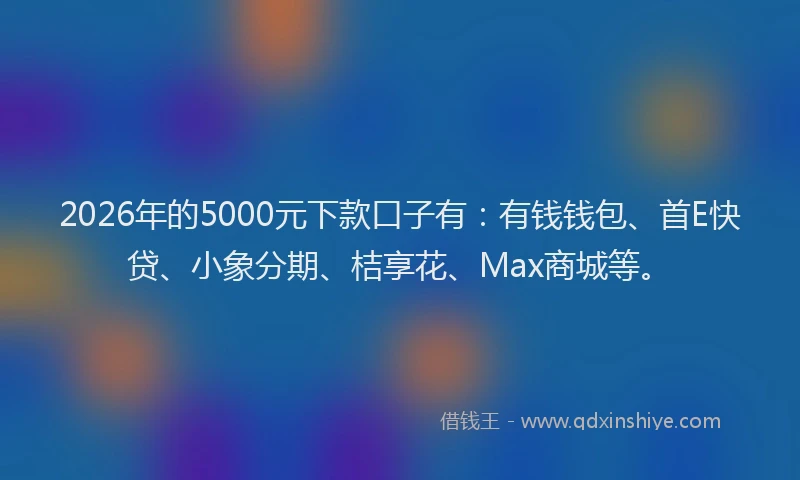 2026年的5000元下款口子有：有钱钱包、首E快贷、小象分期、桔享花、Max商城等。