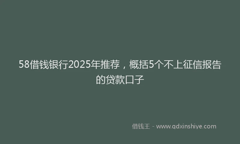 58借钱银行2025年推荐，概括5个不上征信报告的贷款口子