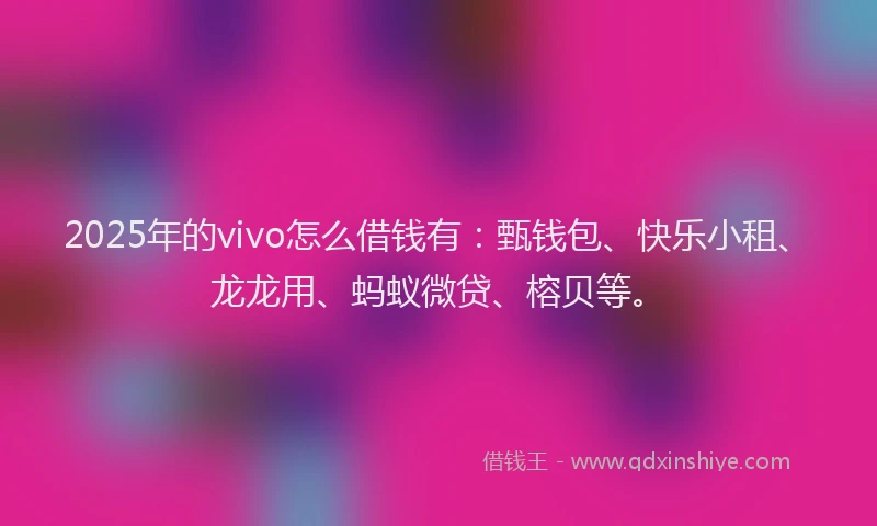 2025年的vivo怎么借钱有：甄钱包、快乐小租、龙龙用、蚂蚁微贷、榕贝等。